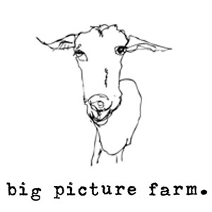 Big Picture Farm big picture farm logo