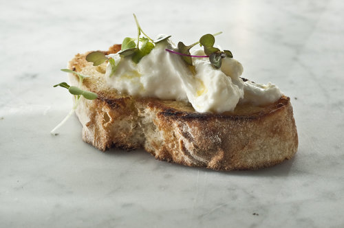 stracciatella_maplebrook maplebrook farm stracciatella