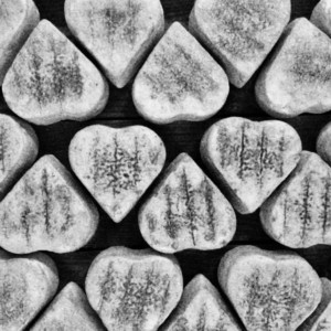 twig_love-1-1