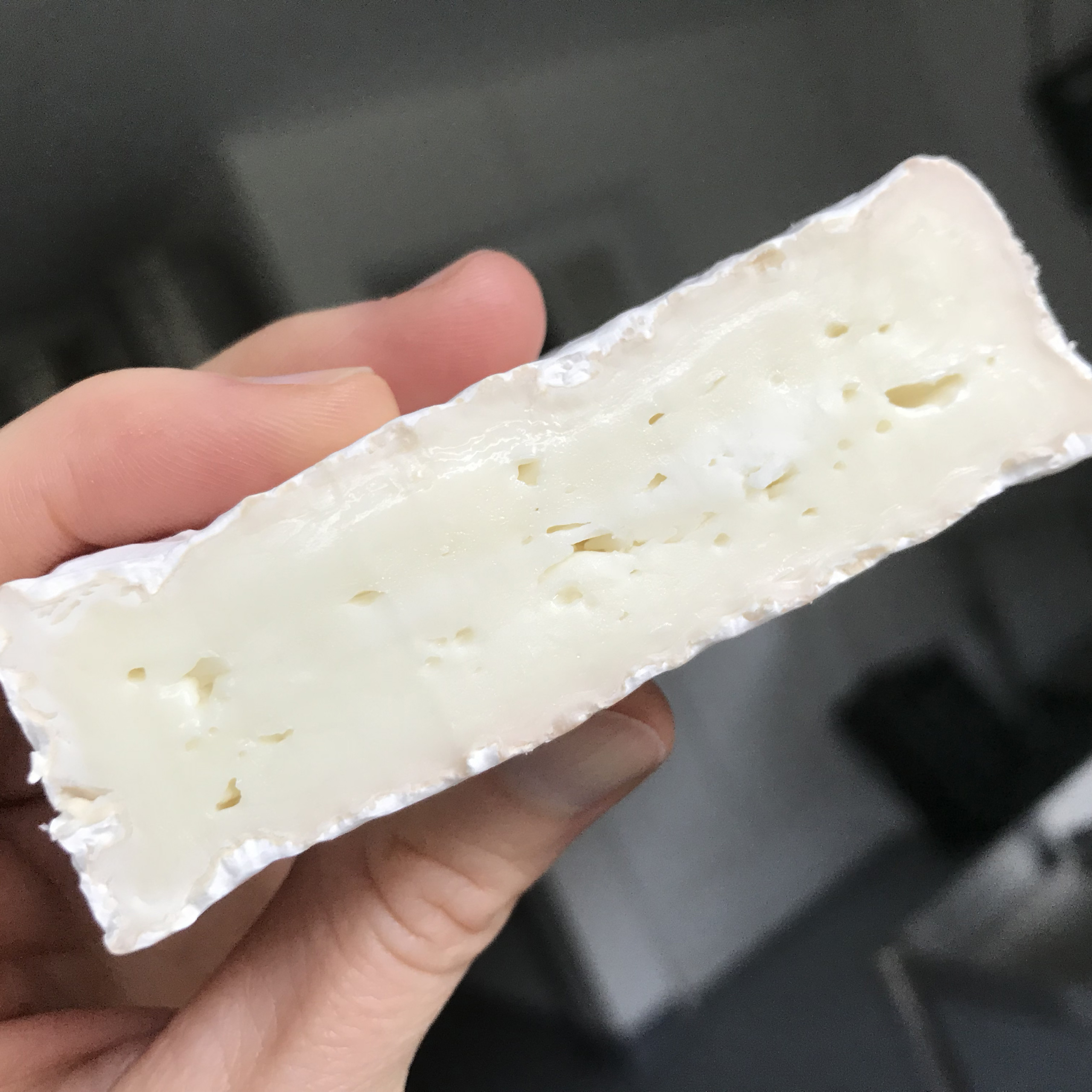 Morse Camembert