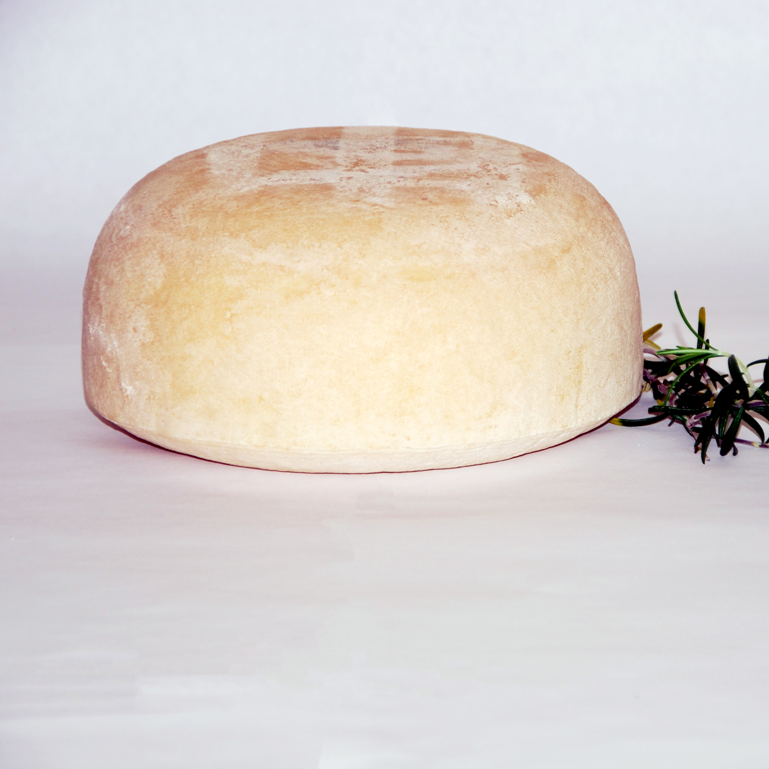 cheese_april_2019