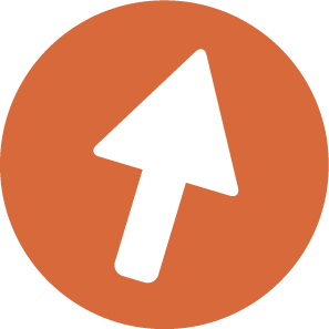select icon